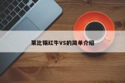 莱比锡红牛VS的简单介绍